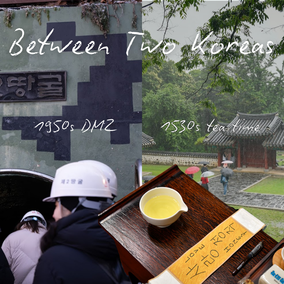 🕊️ Between Two Koreas, DMZ & Tea Time