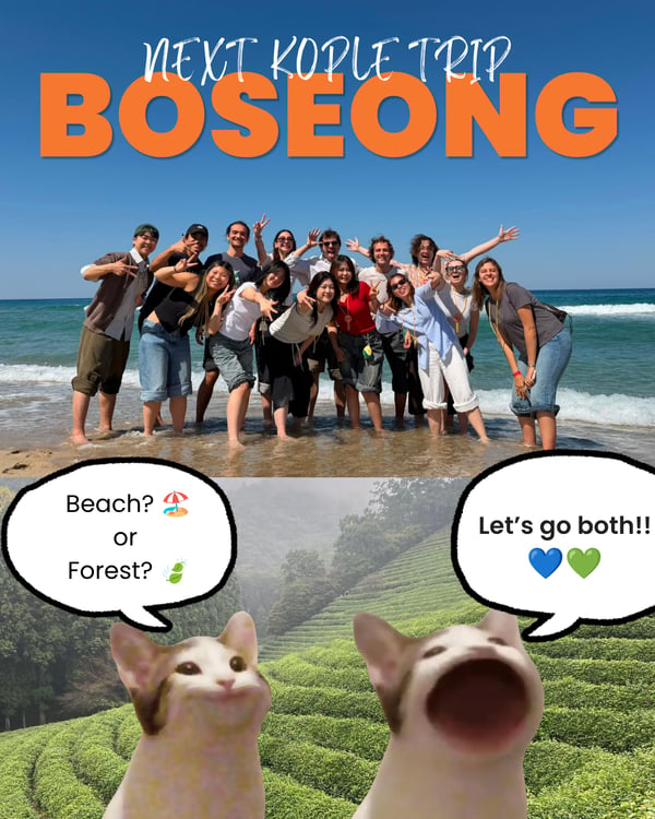 [6/6 Gwangju Trip] Summer Beach vs FOREST