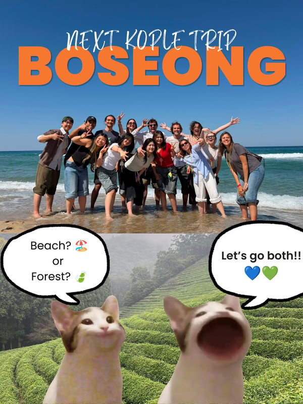 [6/6 Gwangju Trip] Summer Beach vs FOREST